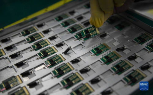 強信心 開新局 靠譜服務 技術(shù)推銷 標準開路 一家光通信企業(yè)的 出海秘籍